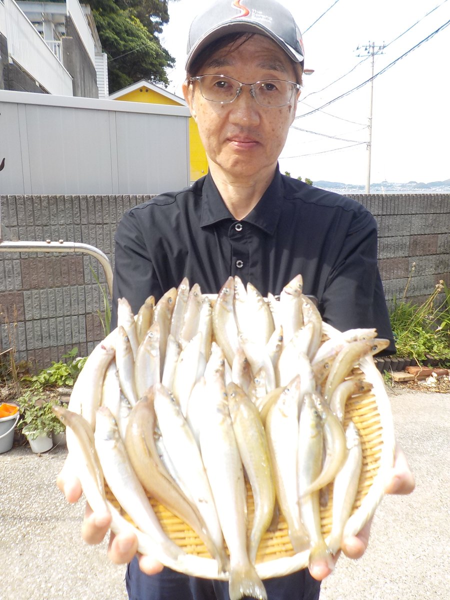 つりの浜浦 tweet media