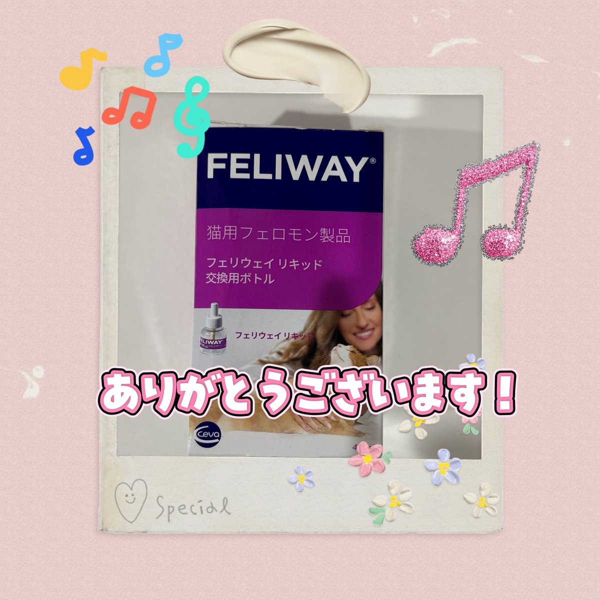velcat2's tweet photo. 本日ご来店の里親様、郵送にてトライアル🎁、フード、日用品のご寄付頂きました‼️
みーちゃんルパンくんの大好きなモンプチ❣️しましまの大好きなささみ❣️ たくさんありがとうございます🙇♀️
#VELCAT #関内 #みなとみらい #猫好きさんと繋がりたい https://t.co/Rd6abMUuIl