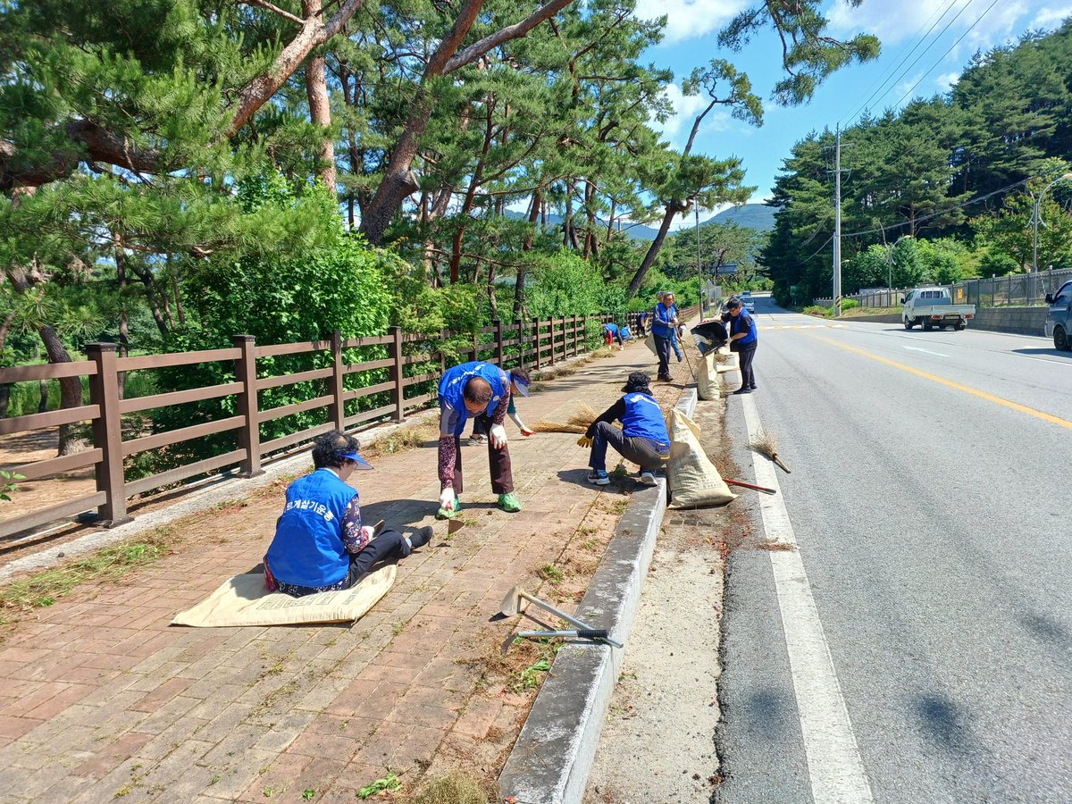 bareugegc's tweet photo. 2026. 06. 11.(목)
바르게살기운동거창군위천면위원회(위원장 현병천)에서는 사마솔숲 주변 도로변 깨끗한 환경조성을 위하여 잡풀제거와 솔잎 제거활동을 실시하였습니다. https://t.co/igRucF7rOj