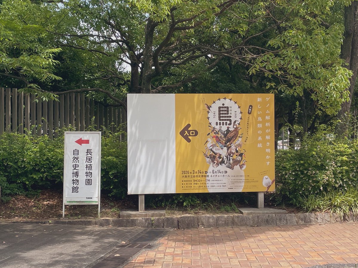 kaelkaban's tweet photo. めっちゃ鳥が好きってわけでは無いと
思っていたが、、、

改めて、鳥もめっちゃ好きなんだって
わかった。楽しいし、学びになる。

鳥が好きな人は楽しい。絶対。

#鳥展
#大阪市立自然史博物館
#カエルカバンの寄り道 https://t.co/7SGWU1IkFk