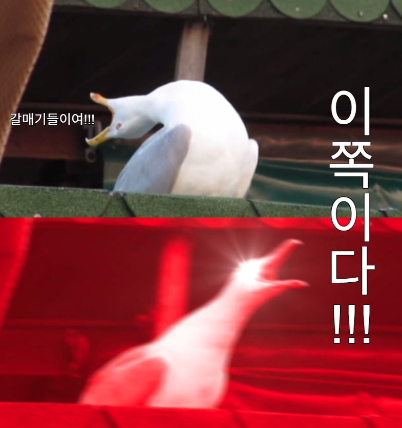 killkillkkilook's tweet photo. 사랑해요 https://t.co/ATgXVQWh9A