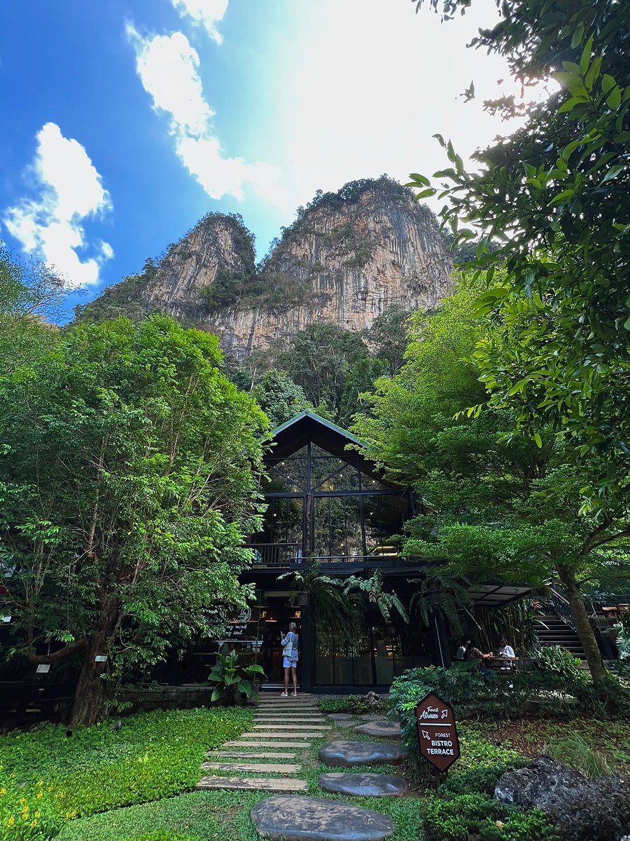3MEXYOACT's tweet photo. INTO THE FOREST 🌳✨ ร้านอาหารคาเฟ่สไตล์นอร์ดิกกลางป่าเขาจังหวัดกระบี่วิวหลักล้าน วิวภูเขาหน้าผาหินปูนสูงใหญ่ เดินเข้ามาเหมือนวาร์ป สถานที่ถูกรายล้อมด้วยธรรมชาติ บรรยากาศดี ร่มรื่น เงียบสงบ อาหารสไตล์ฟิวชั่นมีเมนูคาวหวานครบ😋 ใครกำลังมองหาคาเฟ่วิวสวย ท่ามกลางธรรมชาติ พักผ่อนฮีลใจชิลๆ แนะนำเลยย😍

พิกัด📍เขาหัวช้าง บ้านในสระ ต.เขาทอง อ.เมือง (ห่างจากอ่าวนางประมาณ 30 นาที)