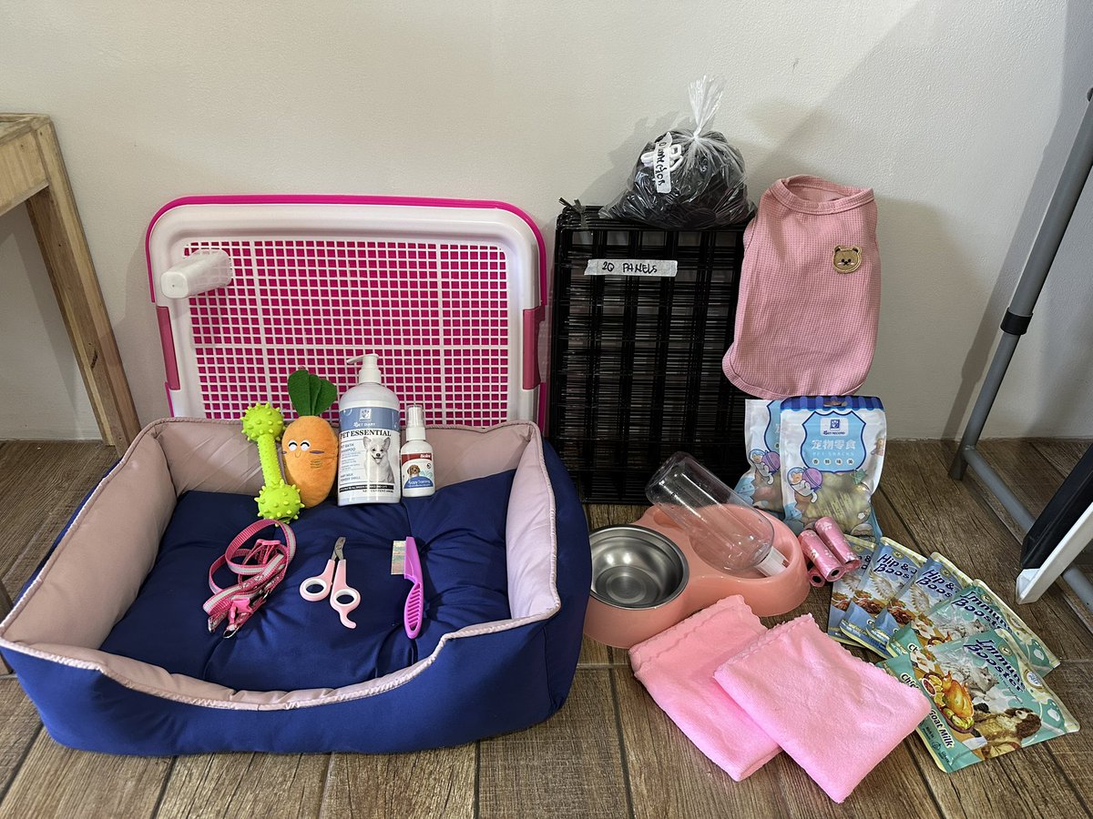 kbbv_'s tweet photo. Anyone!! For sale🐶💖

Kalee’s things are looking for a new fur baby to use them. 🐾

For sale:
• Bed
• Cage
• Potty pads
• Toys
• And more

Good condition and well-loved. Message me if inter https://t.co/Wchzl3Zsm5