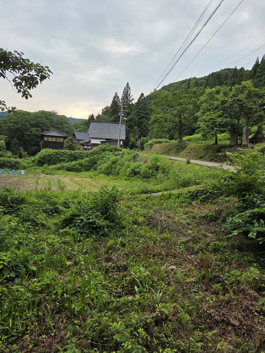 srfdg297's tweet photo. この南砺市小院瀬見地域の裏山で南砺市が巨大データセンター誘致するとか言ってますが、とりあえず、今日もここ小院瀬見は平和です。。。 https://t.co/Sq7f6YpLeC