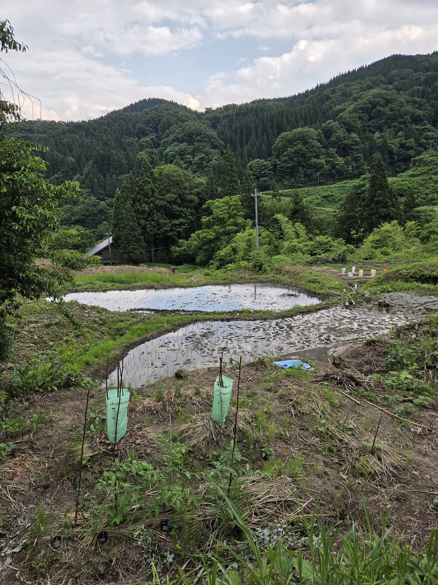 srfdg297's tweet photo. この南砺市小院瀬見地域の裏山で南砺市が巨大データセンター誘致するとか言ってますが、とりあえず、今日もここ小院瀬見は平和です。。。 https://t.co/Sq7f6YpLeC