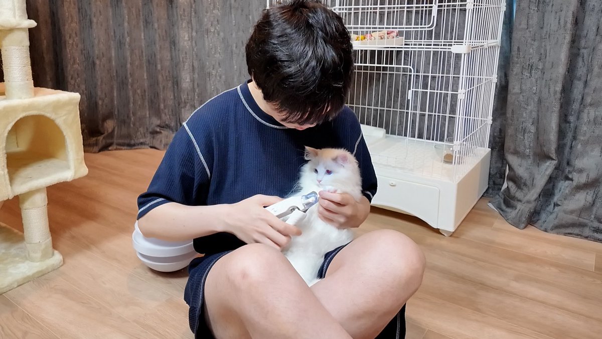 8IcoEitHGybnh5V's tweet photo. 【初投稿】初の爪切りでまさかの緊急事態!? 

動画→https://t.co/USU5Wgi6Rn 

 #拡散希望 https://t.co/ZvFOC0Yi2t