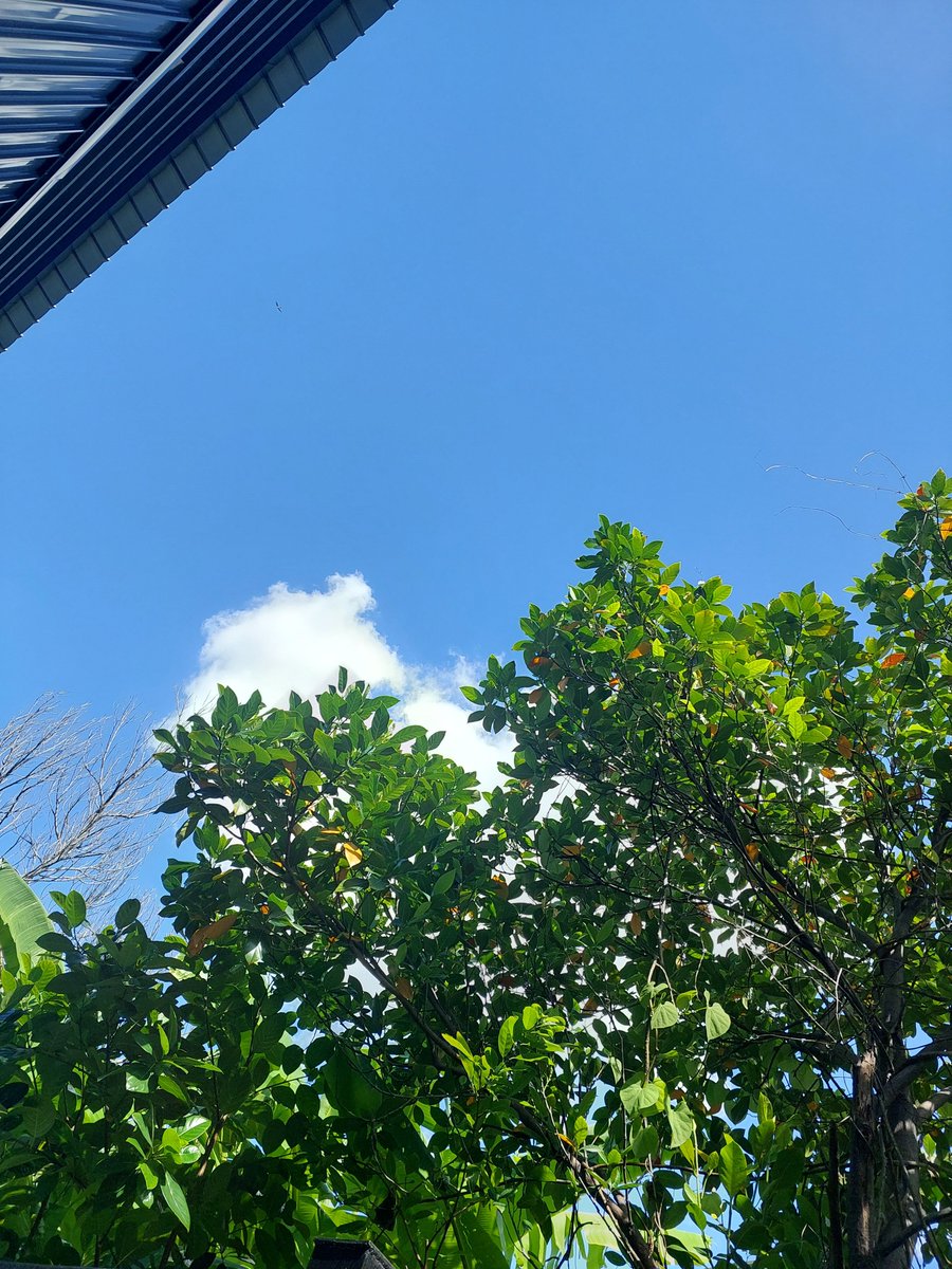 ToonyPoko's tweet photo. ลำบากวันนี้สบายวันไหนอยากรู้😆 https://t.co/pzaIM2QsEv