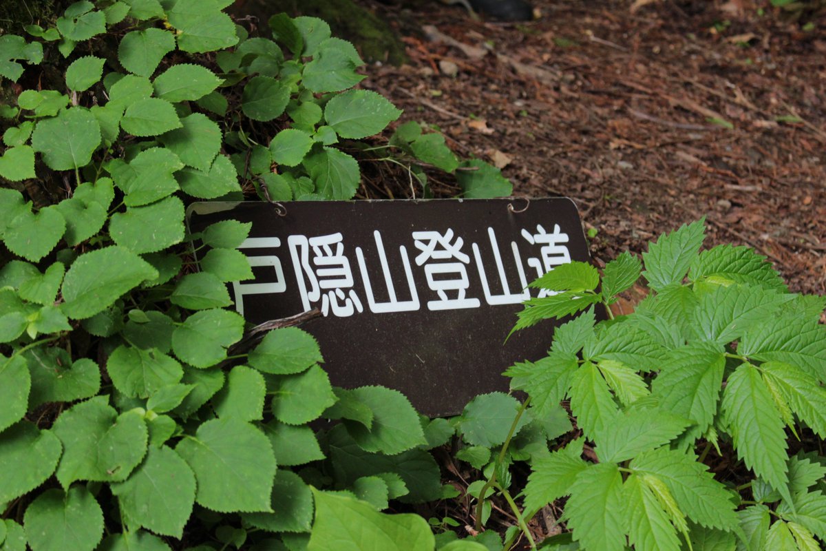 infotoga's tweet photo. 本日、戸隠神社奥社にて戸隠山安全祈願祭（開山祭）を斎行しました。社殿での神事のほか、戸隠山登山口の注連縄切り・遭対協の救助隊のみなさんの登り初めを行いました。
いよいよ戸隠山域の開山となります。山に入る際は、レベルに応じた入念な準備と計画をお願いいたします！  #戸隠 #togakushi ym https://t.co/5bCLH3FTYh