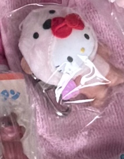 rie21519's tweet photo. ちびっとも　サンリオ

譲　キティ　みずのいきもの

求　シナモン　森のおともだち、レインコート

サンリオフェス28日.郵便 https://t.co/pzblA4HJLf