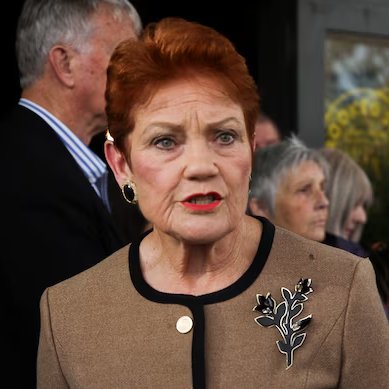 ChrisNewAccount's tweet photo. Not the defence she thinks this is 😂😂
Pauline Hanson snaps back at the media saying Gina Rinehart is just a billionaire mining friend that happens to provide her with policy advice while giving her gifts worth millions. #auspol https://t.co/1wVJlcpvtn
