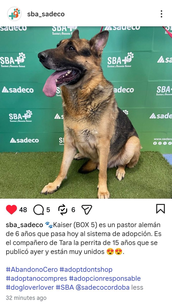 Lales. tweet media
