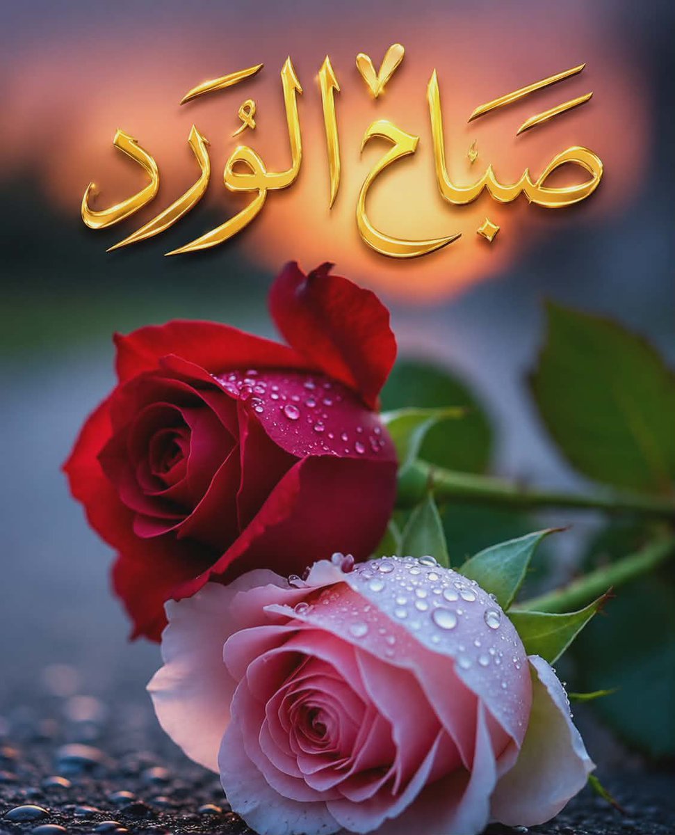 mb_nec's tweet photo. @AbdouBnomar @muna_ali2026 صباح الخير والفرح https://t.co/vOucHCntM7