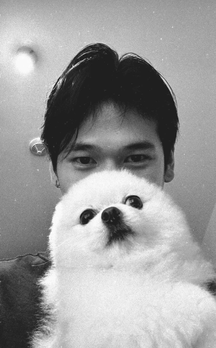 hyaselyse's tweet photo. WILBERT WITH POMPOM!!! https://t.co/fmpqil0N40
