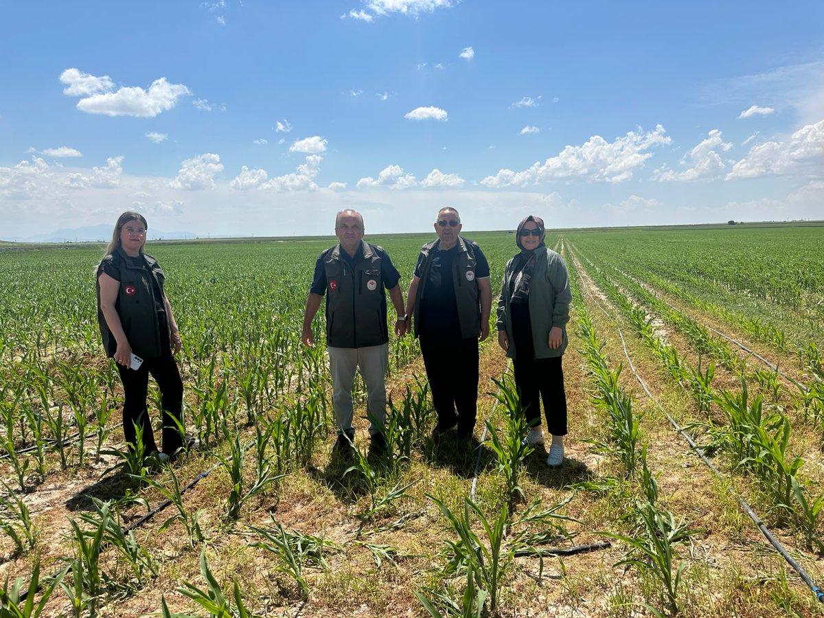 konyailtarim's tweet photo. 🌾 Karapınar’da 2026 üretim sezonu kapsamında İlçe Müdürümüz Ramazan GÜNERİ ve teknik ekiplerimiz tarafından Süne Nimf Sürveyi ile ürün doğrulama çalışmaları yoğun şekilde sürdürülüyor.
@TCTarim 
@ibrahimyumakli https://t.co/xw0CfdhemP