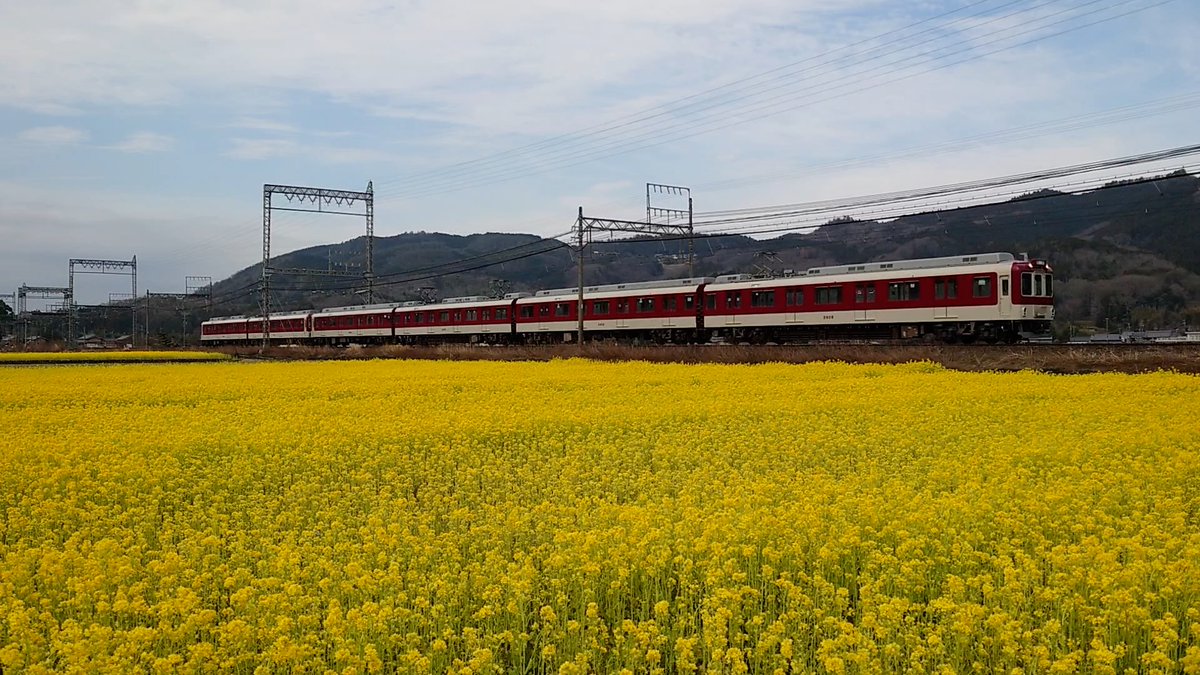 tabitetsu_ch's tweet photo. 【菜の花畑2026】②
三重県名張市矢川の菜の花畑の側を走る近鉄電車を撮りました。
撮影日：2026年3月中旬
#近鉄大阪線
#赤目口の菜の花畑
#80000系ひのとり
#22000系ace
#30000系ビスタカー
#三重県名張市
https://t.co/1TZ01iorFe https://t.co/yKR54NEWIi