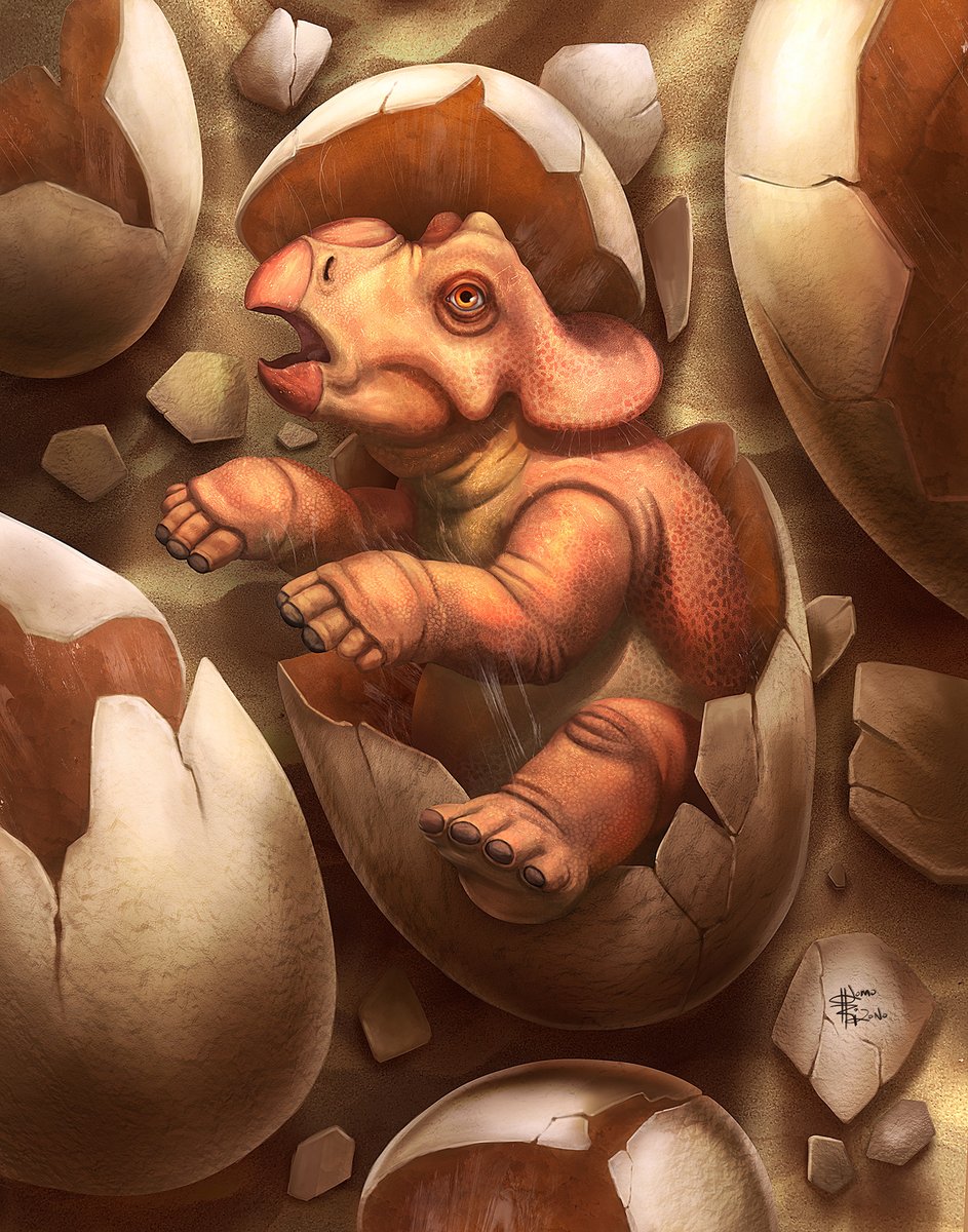 Koprolitos's tweet photo. Los #dinosaurios reimaginados de Luciano Komorizono

▶️ https://t.co/MpkCbhCkiB
#dinosaur #illustration https://t.co/eFP7dLNQWw