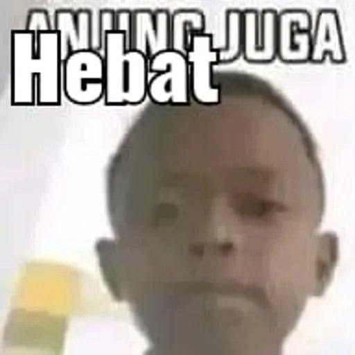 acel ocoy tweet media