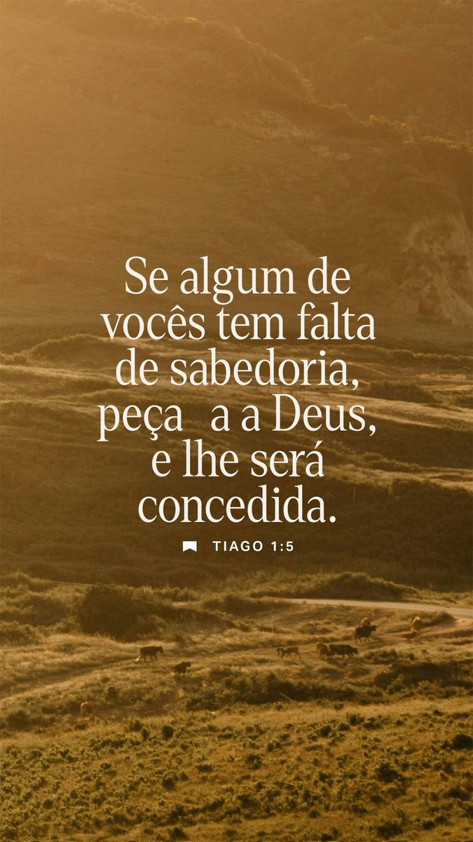 VersiculoHoje's tweet photo. Clique no link abaixo para ler um versículo e acessar a Bíblia completa em vários idiomas e versões, instalando-a em seu celular, caso queira!

https://t.co/DzoVWAQdpq https://t.co/X3VXbou3SP