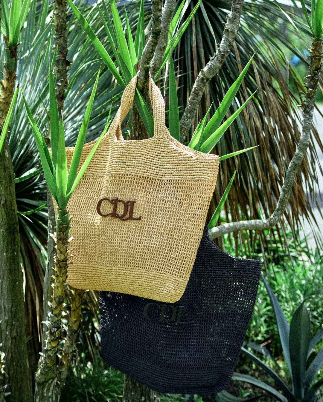 CDL TOKYO NEWS on X: 