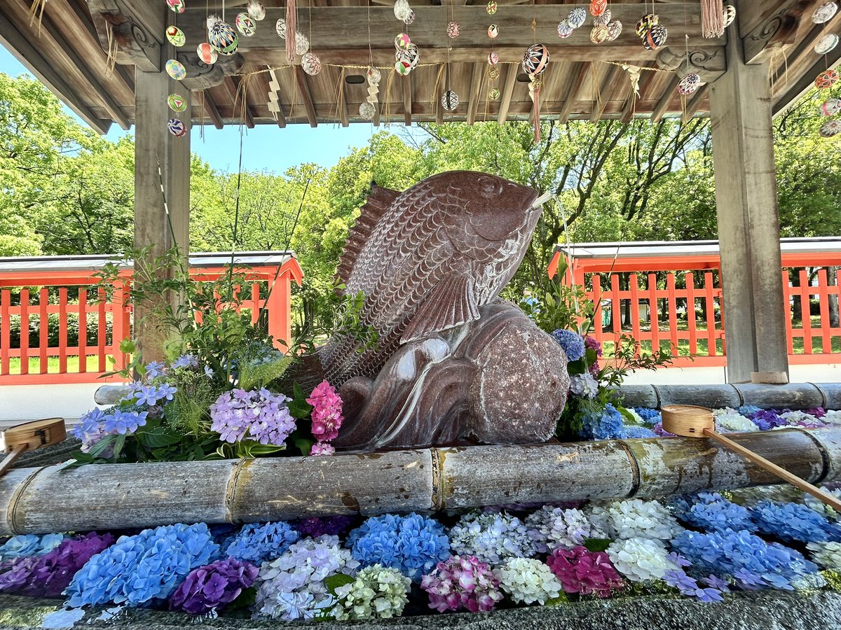 visit_fukuoka's tweet photo. 🌸福岡の花手水@十日恵比須神社🌸
梅雨晴れが続いている福岡。
昨日、夏越の茅の輪くぐり神事が行われた十日恵比須神社では、花手水も始まりました！
皆さんの地域にもステキな花手水スポットがあったら、ぜひ教えてくださいね😉✨ https://t.co/72NBKfVEZi