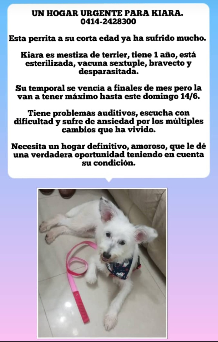 JLLVARELA's tweet photo. Zona Caracas, Guarenas, Guatire 🙏🏻❤️🐶 https://t.co/PPjfJV0DCU