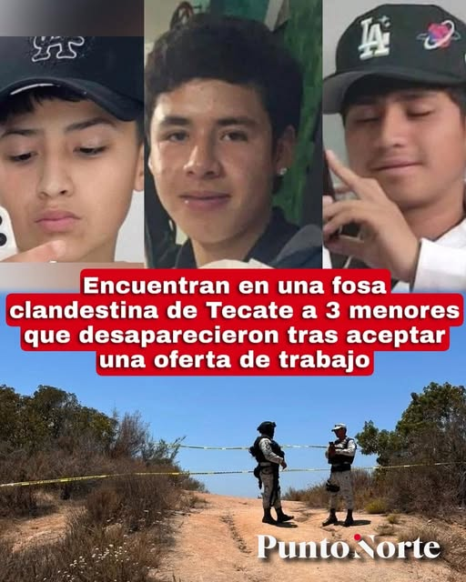 lunadeandromeda's tweet photo. los asesinaron y los tiraron los carteles asesinando a diestra y siniestra en baja  california un lugar relativamente tranquilo hasta que llego marina del pilar avila olmedo... https://t.co/gkYkK5DWMU