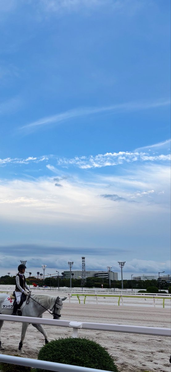 Junkasamm's tweet photo. 空が綺麗なんであるーー https://t.co/oDYGGMGPSU