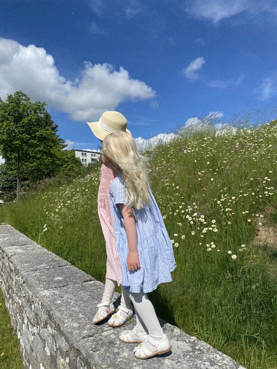 AdamvanStam's tweet photo. Glada och förväntansfulla barn, den blomstertid nu kommer och nationalsången. Nu är det äntligen sommarlov! 🎶🇸🇪☀️ https://t.co/GobfzJ0ZgR