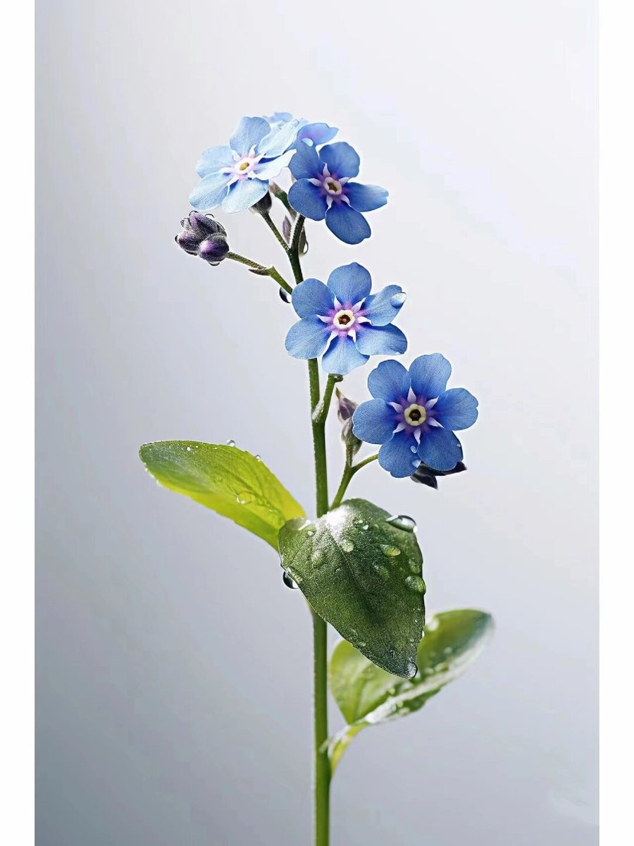outback201569's tweet photo. No need to be perfect—start your watercolor journey today! Small steps bring big fun.  #HobbyStarter https://t.co/aJiWkAoG0E