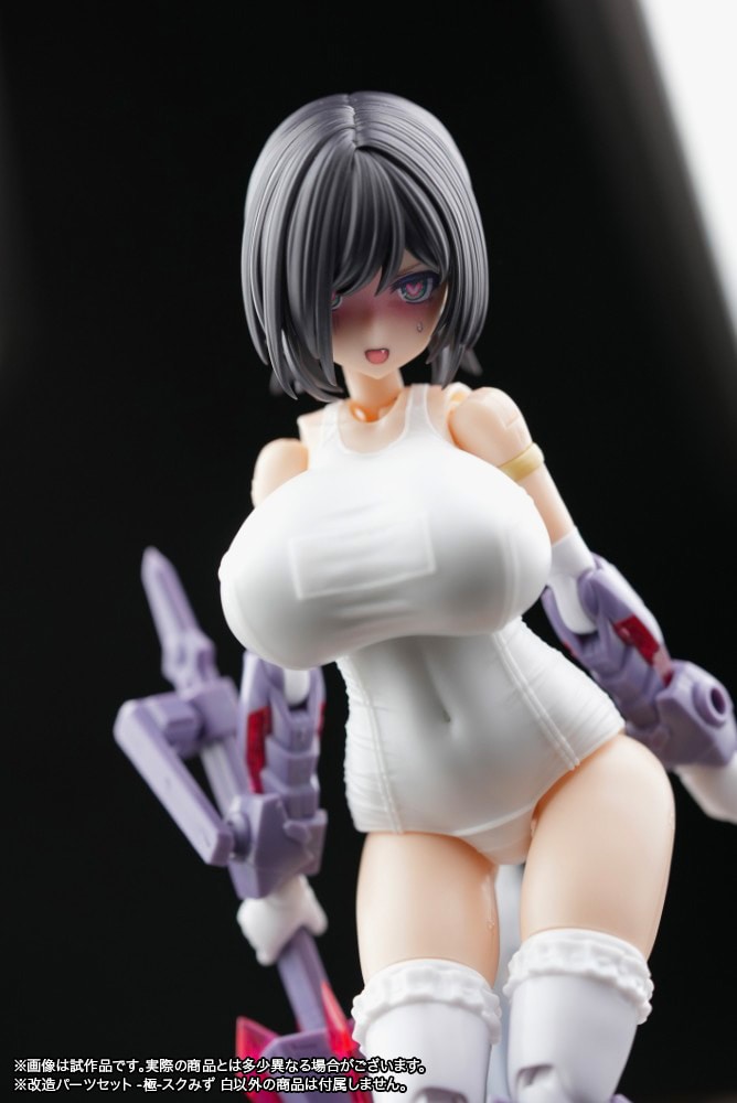 予約しておいて今更ニッチなの頼んでしまったな(昔はスク水デザイン