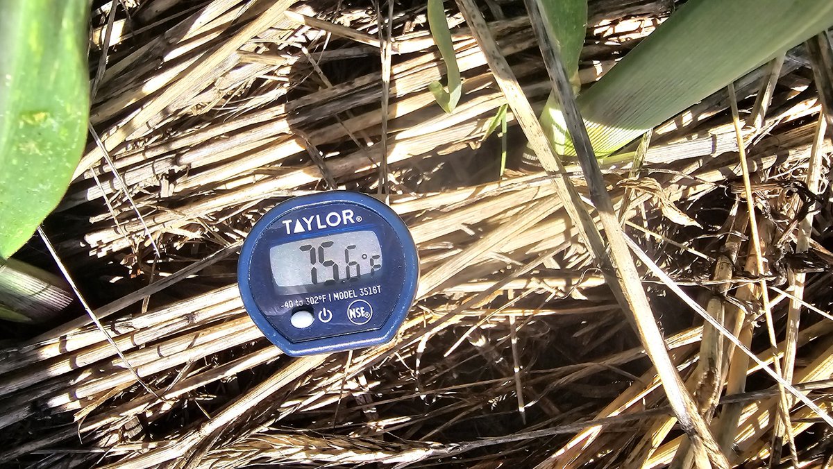 chrisleefish's tweet photo. The first pic is the air temp midmorning. The 2nd is soil temp. As it gets hotter keeping soil temp cooler is critical for maximum biological activity. Why we farm this way with #covercrops and #notill #agriculture #soilhealth #conservation https://t.co/Ubeplbk5jb