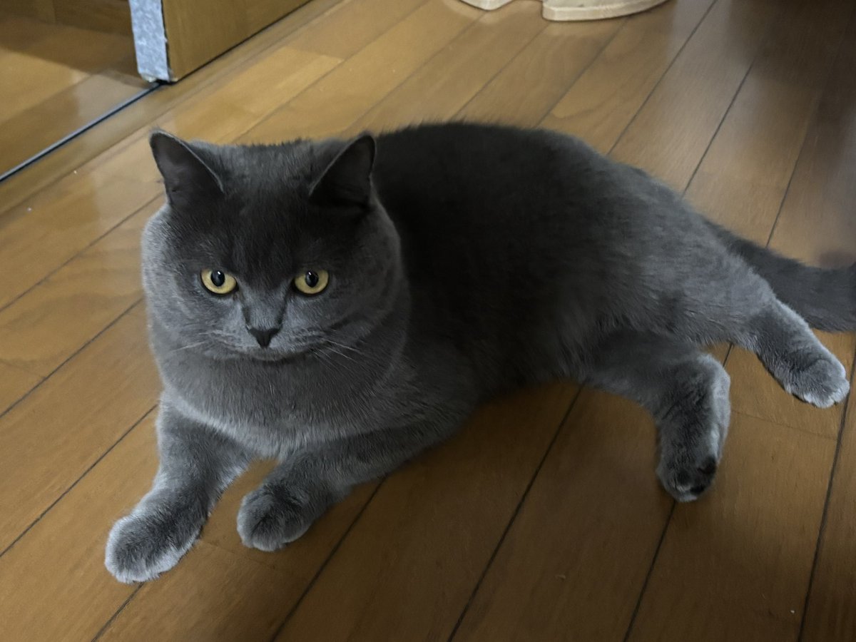 LPG1997's tweet photo. ただいま〜 https://t.co/rgFnOZFfhw