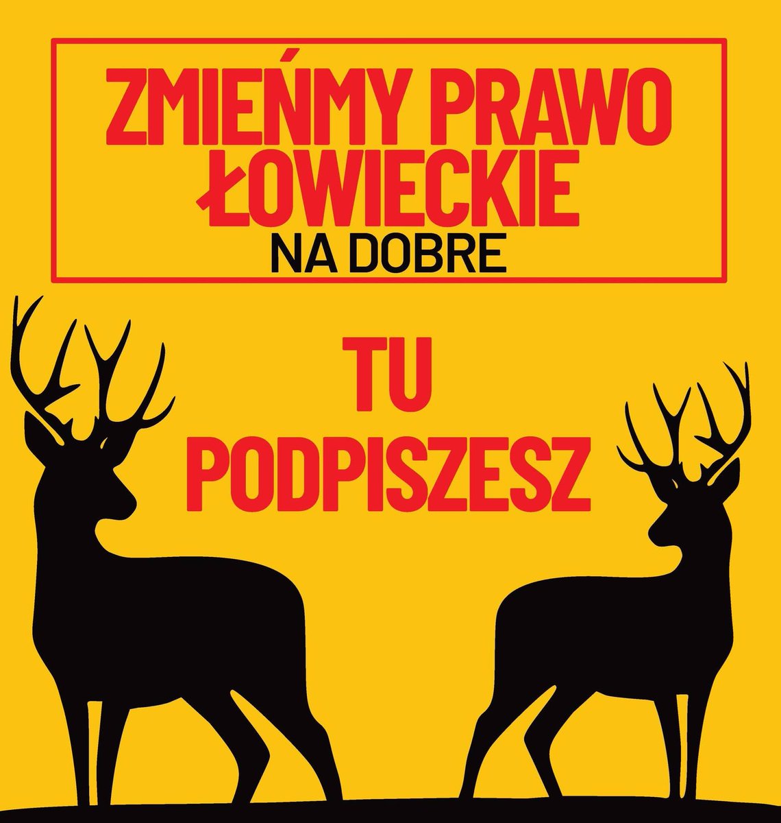 mateusz_rybak1's tweet photo. Wydrukuj kartę i zbierz podpisy. To ważna inicjatywa dla zwierząt i naszego bezpieczeństwa! 🦊🐂🌳🌲
Drukujemy i podpisujemy!
https://t.co/XB7NSGKTuW
Puśćcie to dalej! https://t.co/hjnoBxMhcE