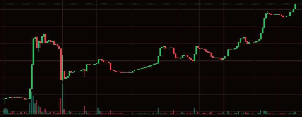 BignoodleBTC's tweet photo. I have been marveling at the "life of a token" this is the current chart for $BIGNOODLE. Wait until we get this to 10cents. then $1. then $10. Launching our utility token for our Depin is a HUGE unlock for us to put all plans into motion - our time is now! Huge thanks to @natdotfun https://t.co/nrsYWnPaCc for launching us.
