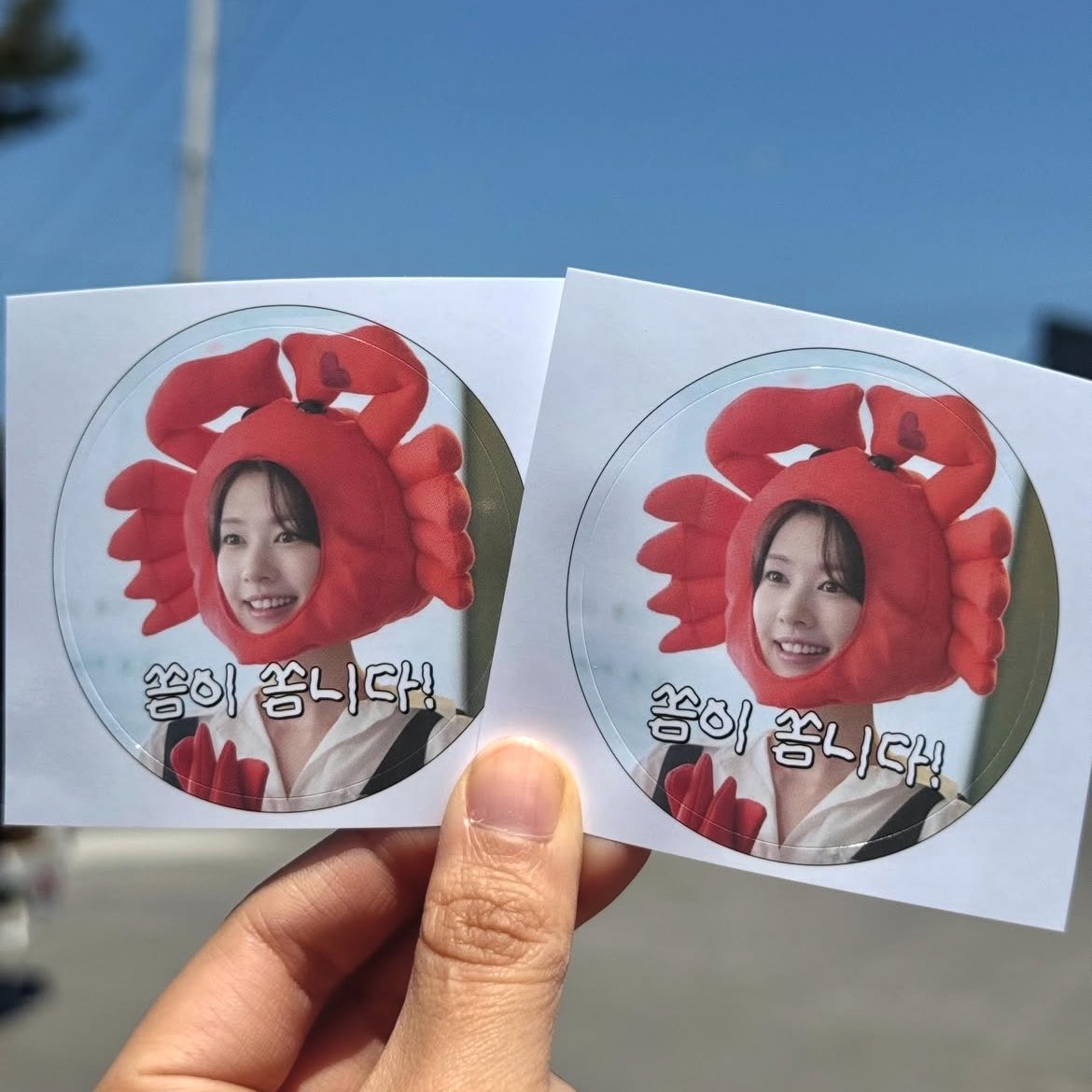 purysays's tweet photo. Yeppo crab… 🦀 https://t.co/E7nHidfpbi