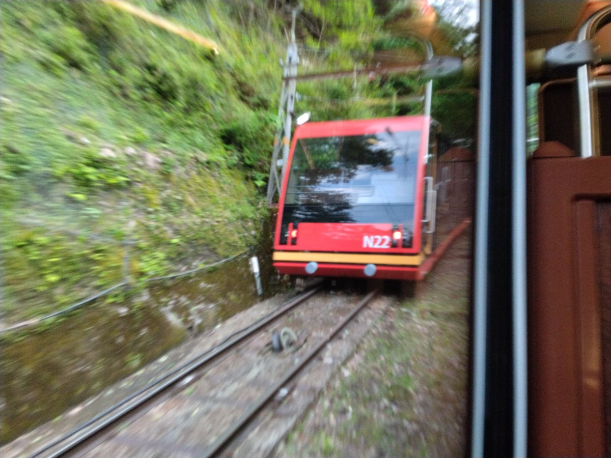 下山してきた #じぇしか2606せっつ