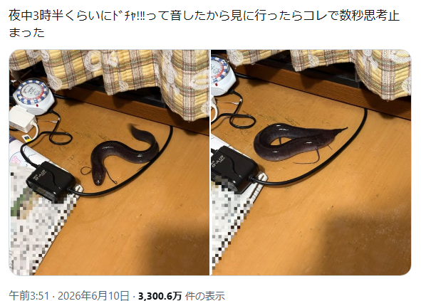 kicklinger's tweet photo. これって、例のカニとかを玄関において、そのポストでアカウントを特定して強盗に入る闇バイトの新手の手口では？？ https://t.co/gzQmWKs9ly