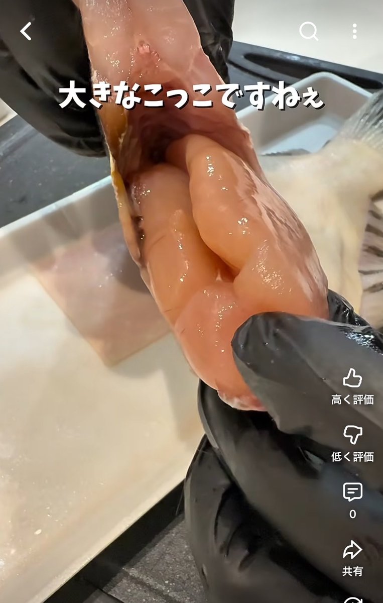 nekozenoshin's tweet photo. 🐈デカすぎた子持ちカレイの煮付け🐈
https://t.co/Ii562lo3Ko 

北海道フェアやってたので買ってみた！
こんな大きなこっこのついたカレイは久しぶりやぁ✨ https://t.co/1Lxk7KS9Ry