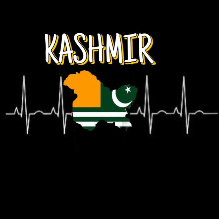 samih68kashmir's tweet photo. #NewProfilePic https://t.co/PnoNayBPa7