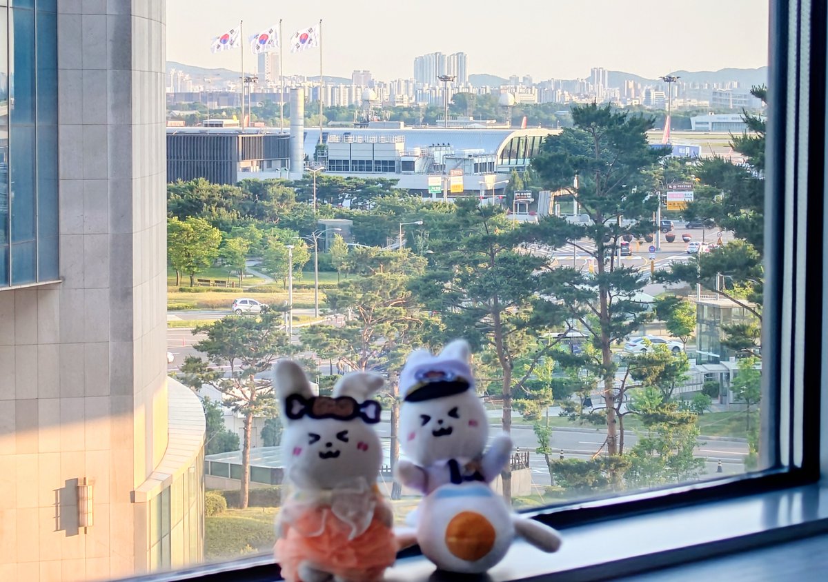 Mitsu_san3's tweet photo. たとえ、1,000kmくらい離れていても✈️🌏️ウサミちゃん🐰🍖🎹と一緒に居るだけで、心が落ち着いてホームシック🏡なんてならないよ😊
何故か、頭に中で『Ultra Soul🎤🎸👊』が流れてる😂

帰国✈️したら、、、
『そうだ、ハラミちゃん🍖🎹に逢いに行こう』🤗
#ハラミちゃん47ツアー2026🎹で聞こえてきそう🤭

#ハラミちゃん