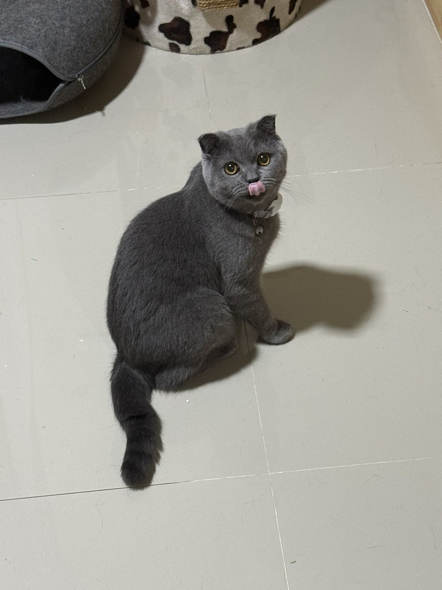 meenaxrina's tweet photo. มาเยี่ยมบักอ้วน ไอมอลลี่จำกันไม่ได้แล้ว https://t.co/z1BenkKZv5