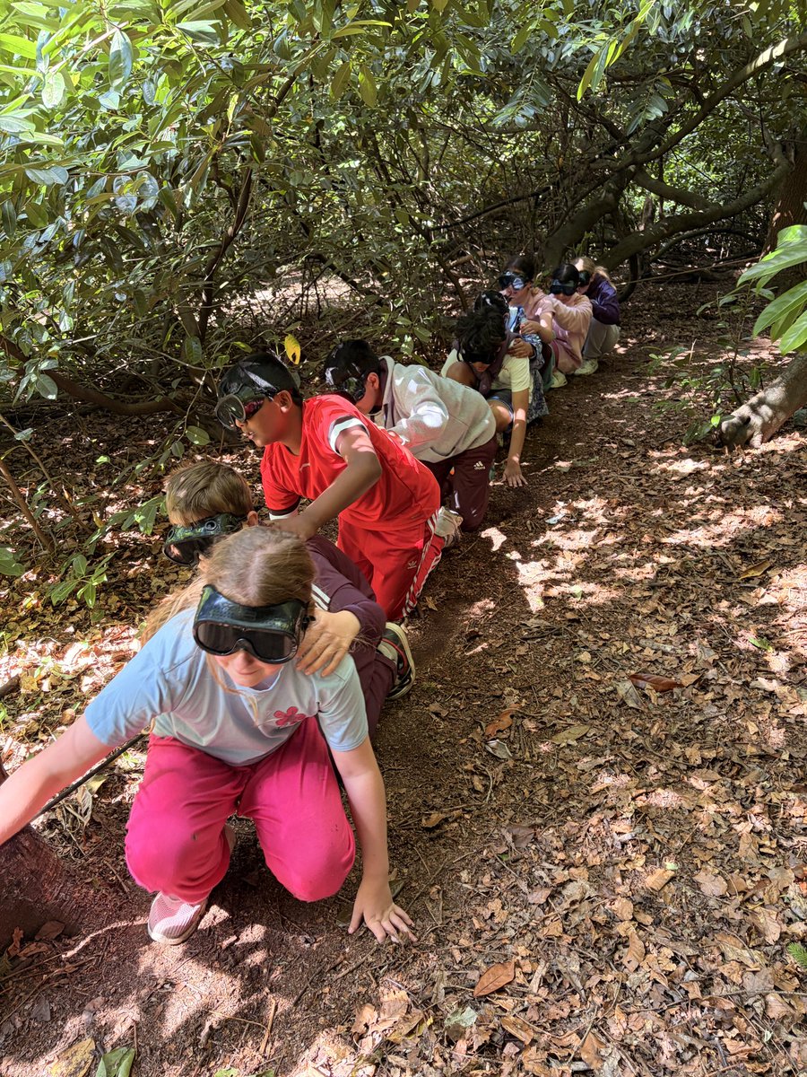 NULS_PrepHead's tweet photo. Rain doesn’t stop play for Year 6; climbing and archery this morning. Yesterday, buggy building and sensory trail tested those teamwork skills we have been building. https://t.co/S2uqEE1oW3