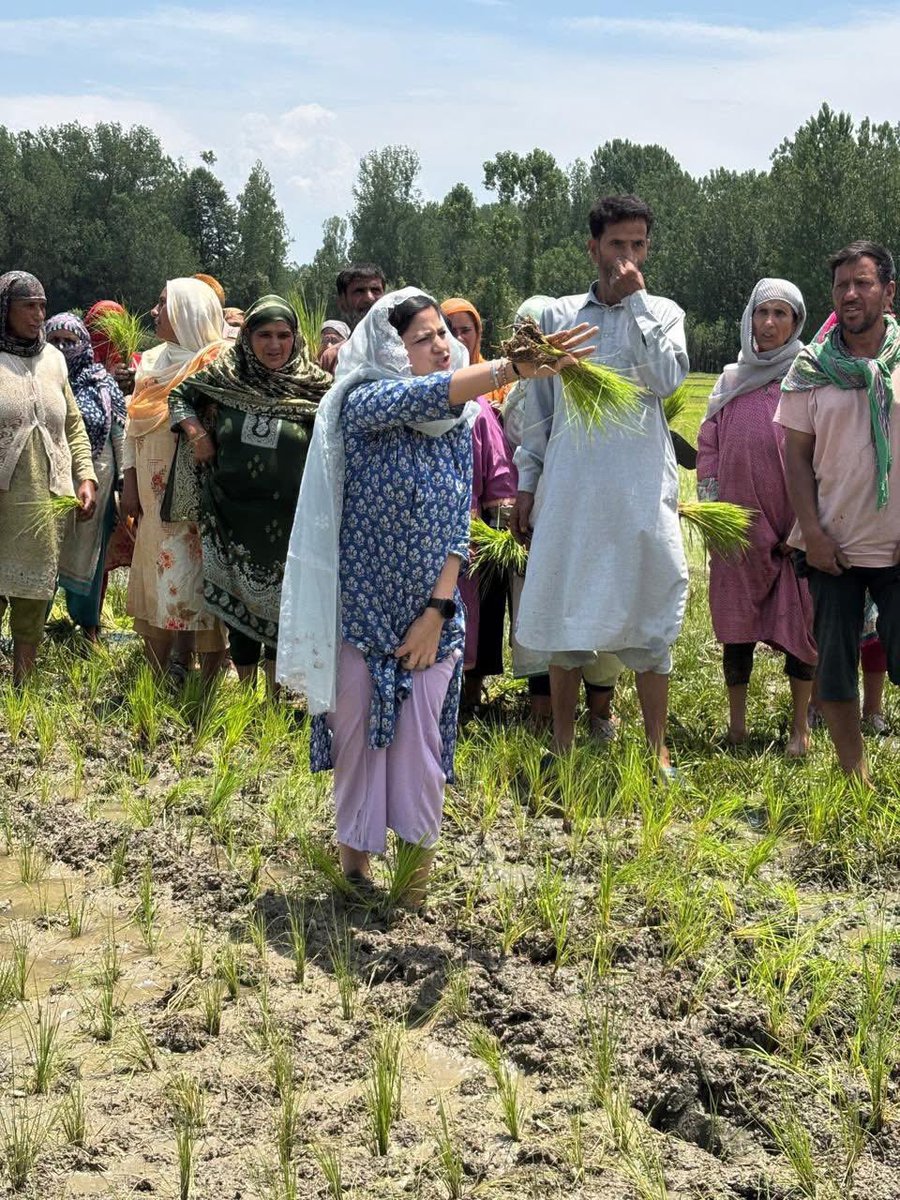 javeddar786's tweet photo. Only a farmer can feel the pain of being denied the right to work in fields where their families have farmed for generations. When livelihoods are at stake, the burden is immense. Here, @IltijaMufti_ is showing solidarity with farmers by standing beside them, amplifying their voices, and supporting them through their struggle at a village in Tulkhon Bijbehara.