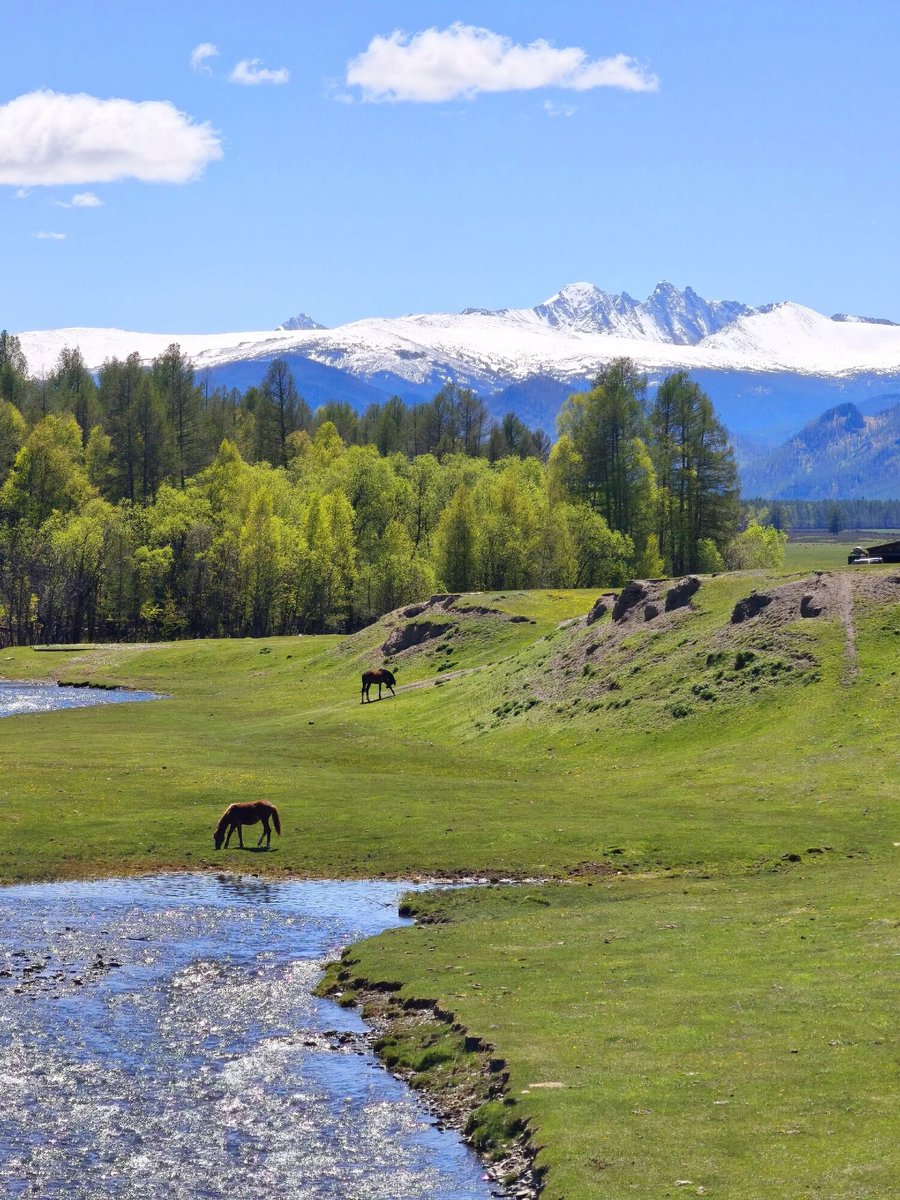 Us48434Anna's tweet photo. Chemal is a place where the rushing Katun River carves into majestic cliffs, creating a perfect balance of pristine nature and ringing silence. Here, amidst the cedar forests and ancient ridges of Altai 🇷🇺, the air feels almost tangible. Would you like to visit?!
🏞😉 https://t.co/rSF8flFiL2