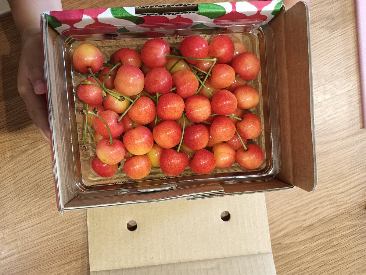 FP_take_'s tweet photo. おはようございます☀

ヒューリックの株主優待で頼んだ「さくらんぼ」が届きました✨

さくらんぼはあまり買わないので、子供達も大喜びで良かったです😊

何回もらっても優待は嬉しいですね🙋 https://t.co/IDtN5g31xi