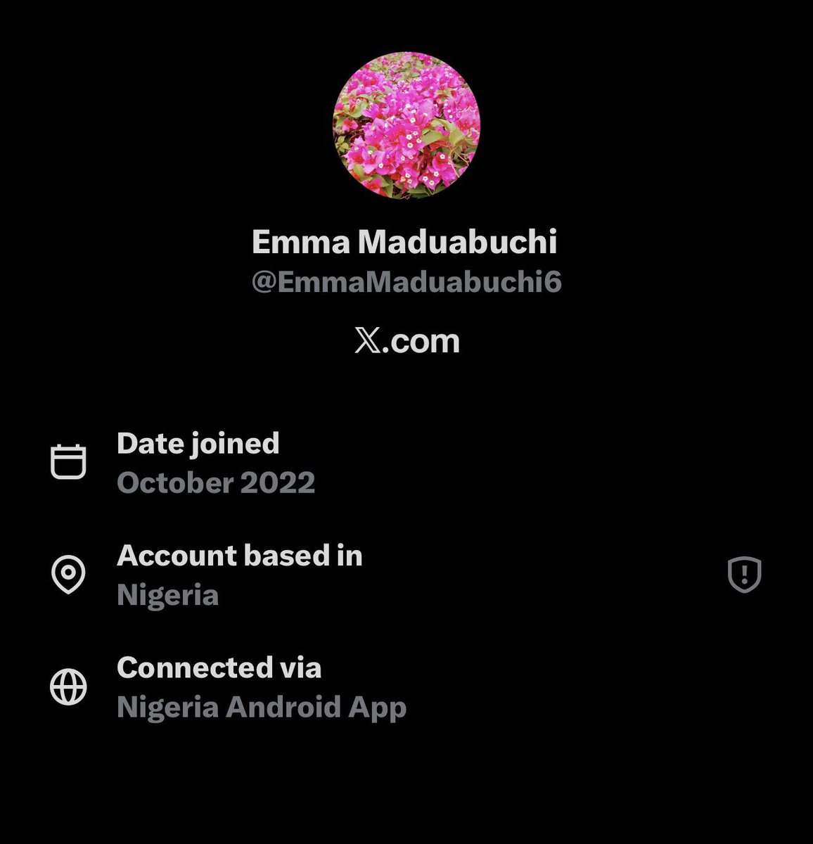 TheBeardedPope's tweet photo. @EmmaMaduabuchi6 @mark_slapinski @sandibachom Fuck off bot. https://t.co/ngVuQpqHau