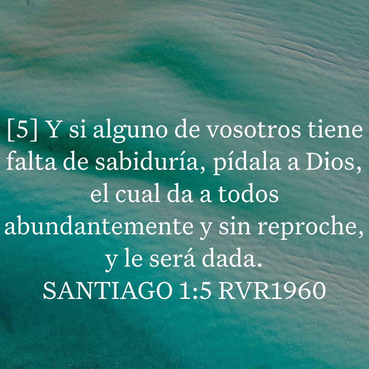 PatrickJolly17's tweet photo. SANTIAGO 1:5 RVR1960
[5] Y si alguno de vosotros tiene falta de sabiduría, pídala a Dios, el cual da a todos abundantemente y sin reproche, y le será dada. 

https://t.co/9KLjZG5HCW https://t.co/NmhigmhirJ