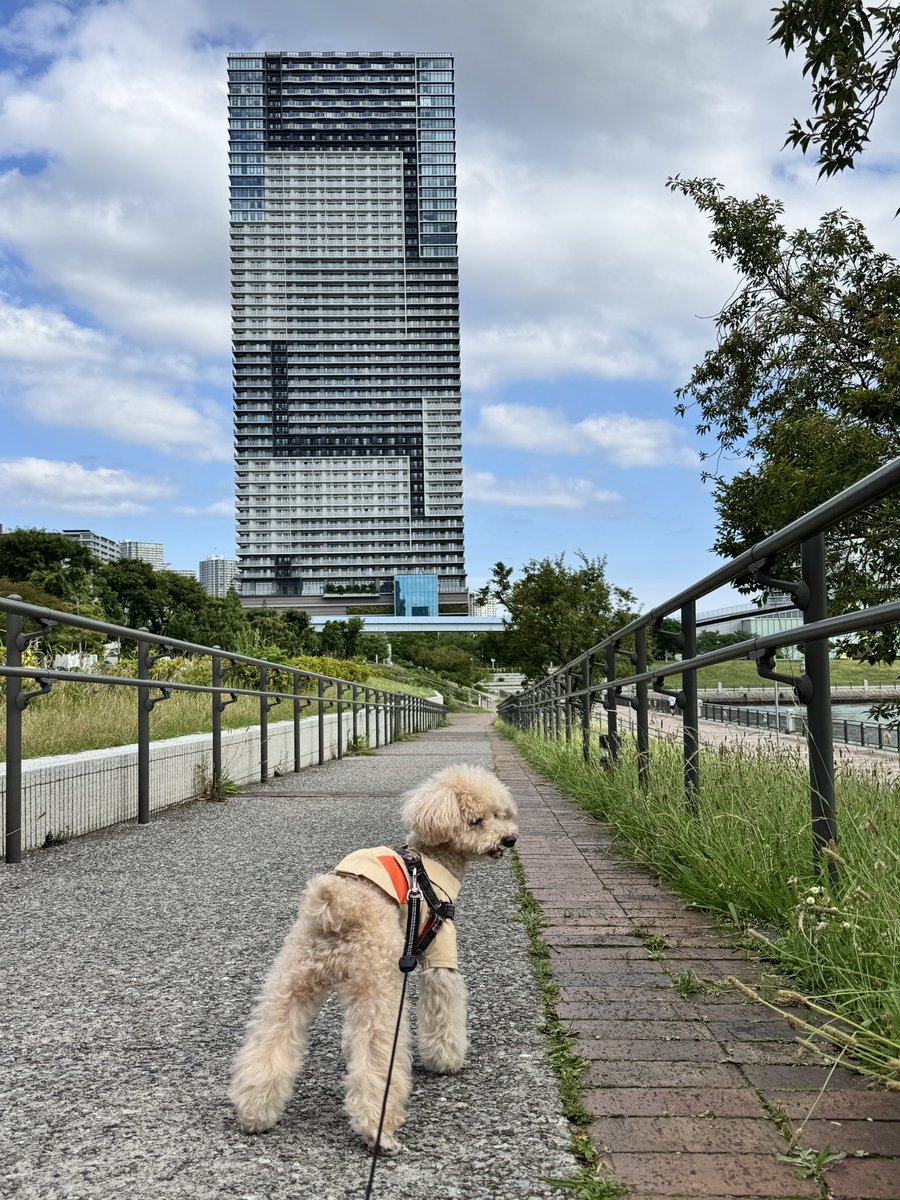 brightmoon2020's tweet photo. 本日、BrightMoon
おやすみいたします。

今日の夜帰るからー！ https://t.co/AiR5ZFG1W5