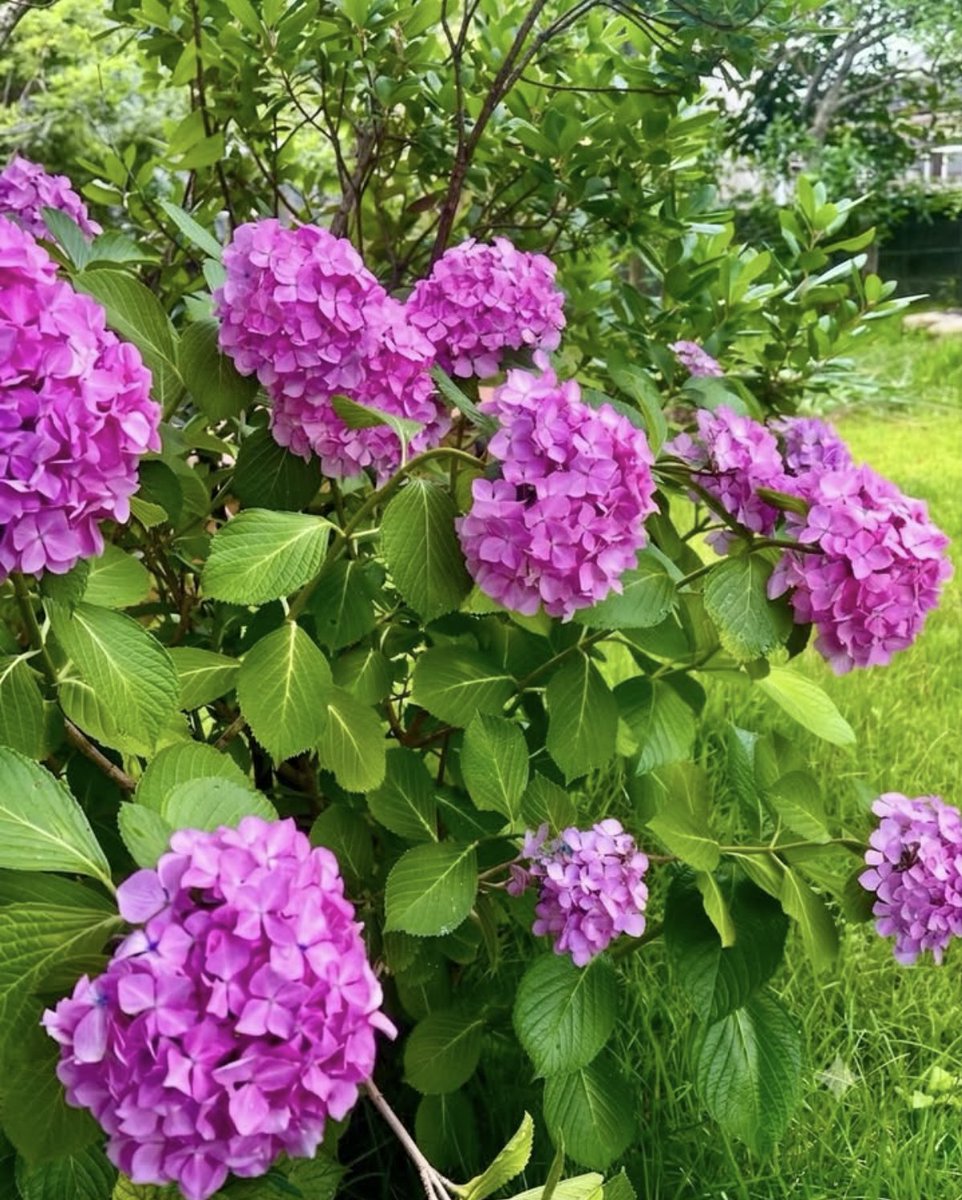 kaidaharuko's tweet photo. 【実は、人件費より気になること🌿】

先日のリール動画では、
唐津市が、一般行政職員数や人件費について
類似団体と比較して、約300人多く、
予算にして約10億円ほど大きいことを
伝えたところ、大きな反響頂いております🙏

一方で、動画を最後まで見ている方は、
全体の2割だけ💦最初だけを見て誤解を
している人も多いので、よければ最後まで
見てもらえるとうれしいです☺️✨

🤳リール動画はこちら
https://t.co/hpQ4okoeVJ

ところで、実は、私が職員数や人件費の
予算以上に、気になっている事があります…。

それは、退職者の約4割が
20〜40代の若手職員であるという事😳

私は、前職では求人広告の営業をしており
また会社経営を通じて長年、
人材採用や組織づくりに携わってきました。

その経験から言えるのは、人が職場を選ぶ
理由は給与や安定だけではないということです。

特に今は人材不足の時代。
優秀な人材ほど、どこでも働けるし、
副業や起業という選択肢も広がっています。

そんな中で、若く優秀な人材に
選ばれ続ける職場とは…❓

人間関係やワークライフバランスがよい
サービス残業の強要やハラスメントがない
などの労働環境は基本的なことですが、

「頑張った仕事が適切に評価される」　
「昇給や昇格の基準がフェアで透明性がある」
「自分の仕事が何かの役に立っていると思える」

などが、大切な要素に💡

ですが、ひとたび唐津に限らず行政組織に
目を向けると、給与は自動的に働く年���で
上がり、逆にいうと頑張っても頑張らなくても
貰える給与はだいたい同じ…
(なので、頑張る人は煙たがれることも😣)
そして、人事が不透明＆政治的で
フェアじゃないことも…💦

行政であれ企業であれ、
人材こそが組織の要✊

今後、人口減少に伴う行政改革で
職員数も減少している中で
「一人ひとりが能力を発揮できる組織づくり」は
避けて通れない大切なテーマ🌿

🌟公平で透明性のある人事の評価制度。
🌟能力を活かし成長できる環境。
🌟頑張って成果を出した人が報われる文化。

人材獲得競争の時代の中で
優秀な人材を採用し、働く人に愛される組織づくり
そして、採用だけでなく、しっかり人が育ち
活躍し、定着するにはどうしたら…。

これからの自治体経営には、
そんな人材戦略が、ますます
重要になると感じています😌

#かいだはるこ #唐津市議会議員
#市民の声を市政に #新風唐津