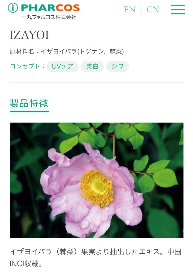 backside_cosme's tweet photo. 一丸ファルコスさん、原料名考えるチームに若干オタクよりの人がいそうなんだよな（褒めてる）

・クロノシャルディ
・キュアパッション
・IZAYOI

キュアパッションって名前のプリキュアいるよね？？？ https://t.co/v3VIcycUcI